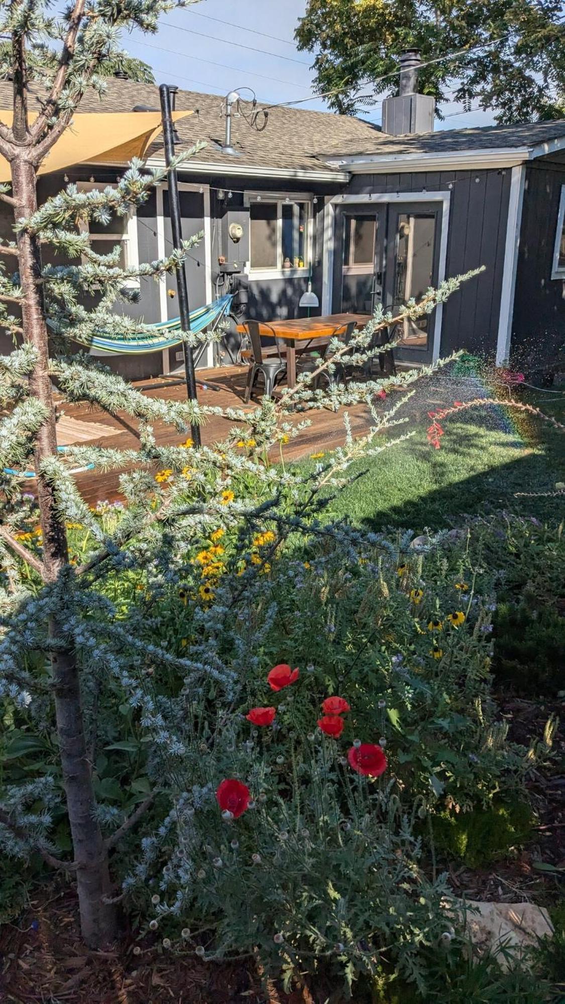The Midtown Reno Orchard Villa Eksteriør billede